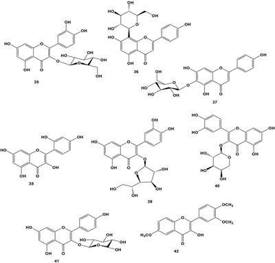 The ethnomedicine, phytochemistry, and pharmacological properties of the genus Bersama: current review and future perspectives